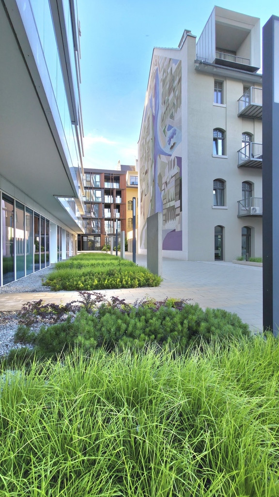 Mieszkanie Sprzedaż Wrocław Wrocław-Śródmieście Księcia Witolda