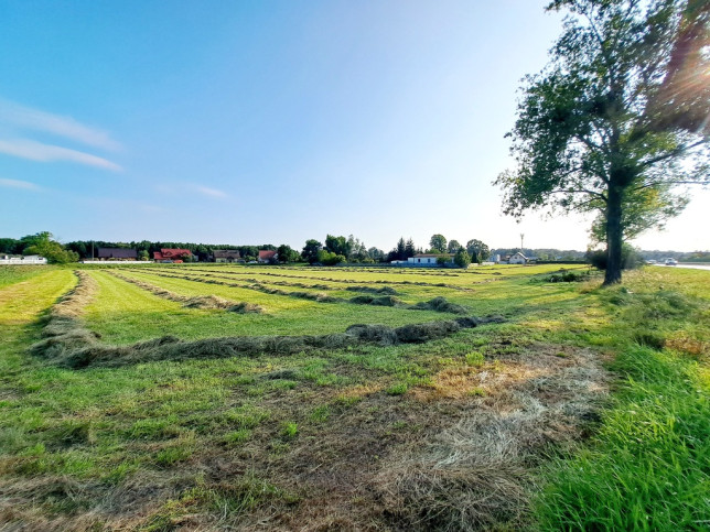 Działka Sprzedaż Borowa Klonowa 4